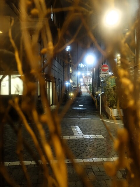 DSC09695.JPG